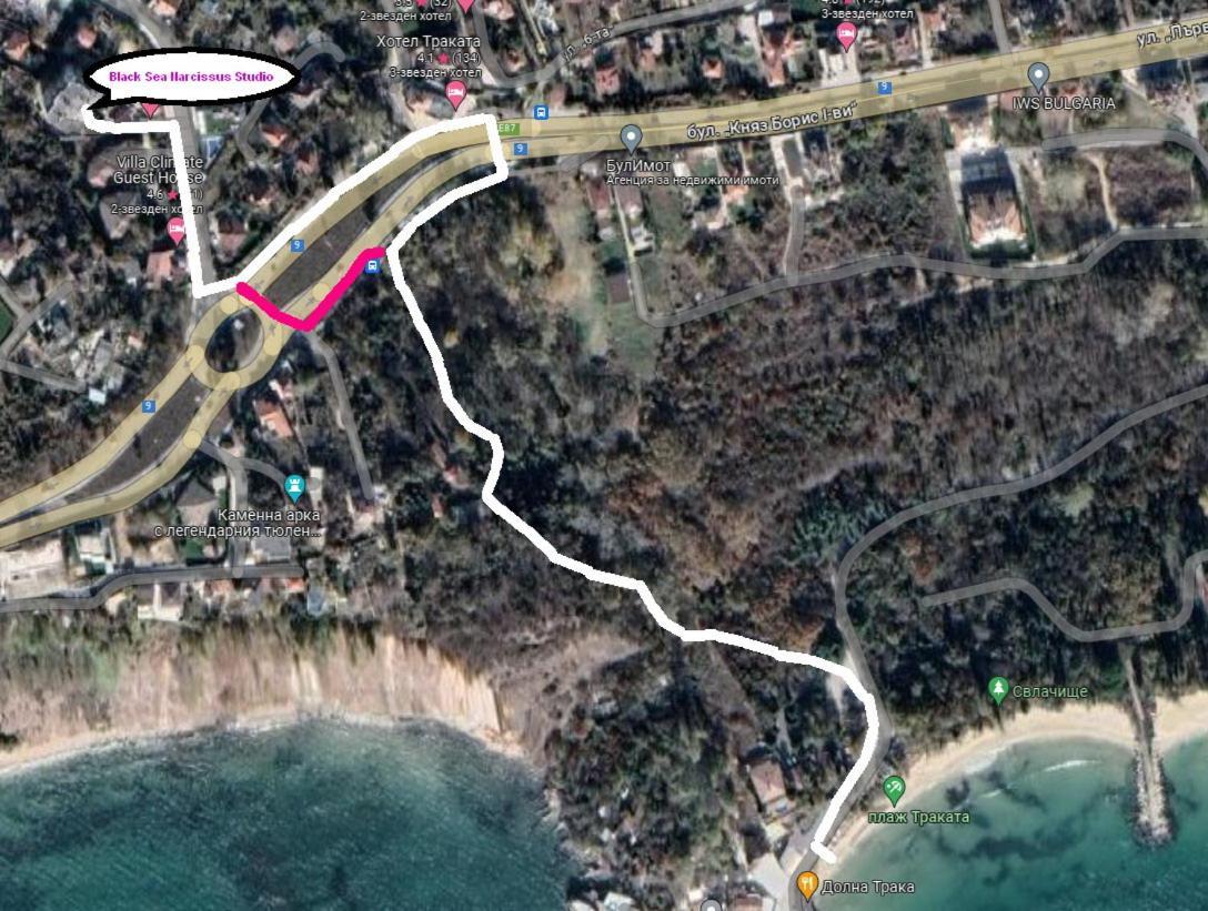 Black Sea Narcissus - Quiet Studio With Amazing Sea View Varna Eksteriør bilde